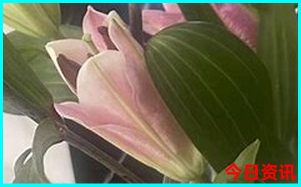 绵阳景区有哪些景点推荐